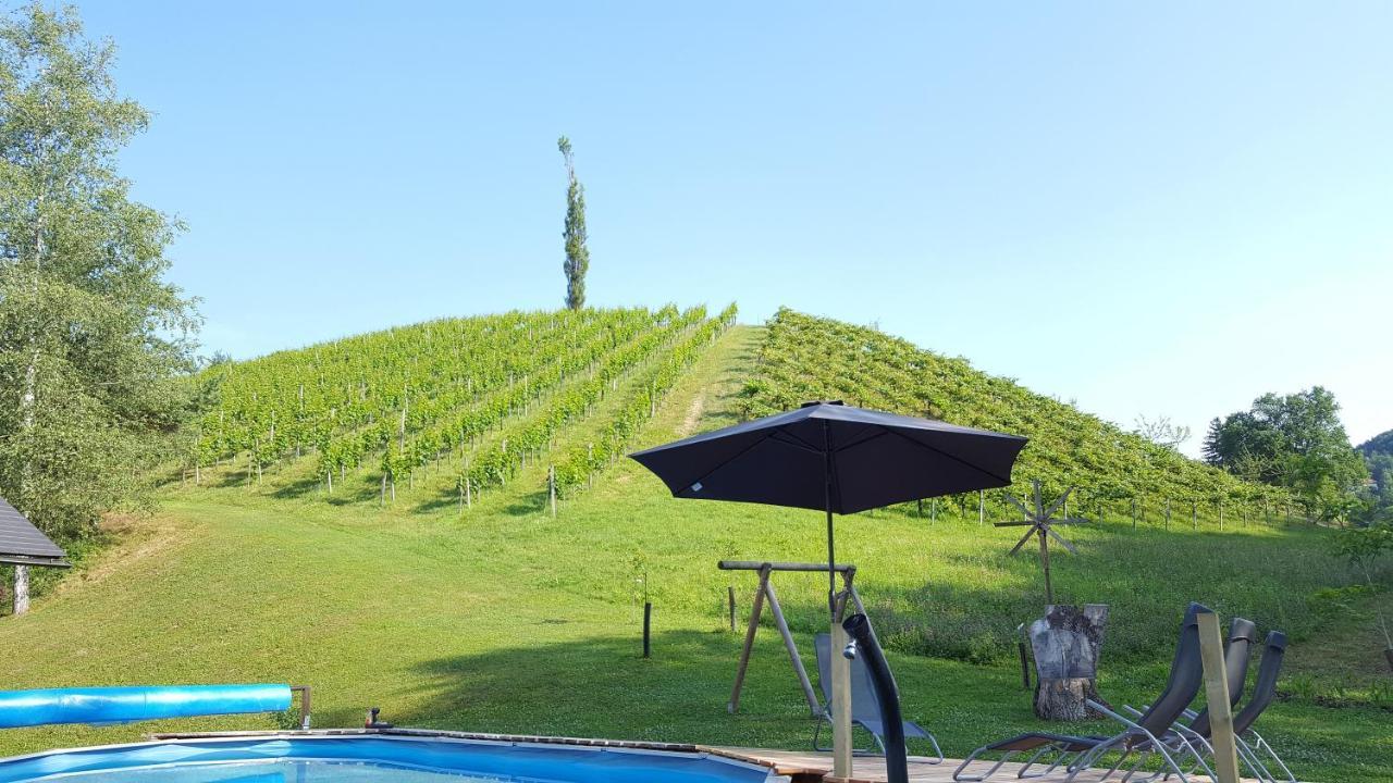 Отель Weingut Lieschnegg Лойчах Экстерьер фото